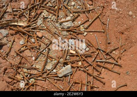 Rusty. Used rusty and crooked nails thrown on earth and gravel floor used in civil construction, Brazil, South America Stock Photo