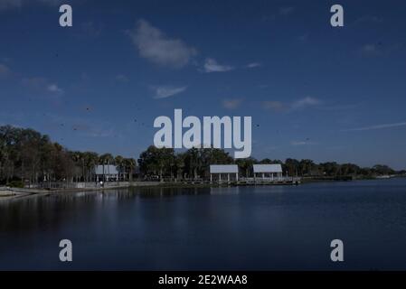 These photographs were taken at Kissimmee Lakefront park in Kissimmee, Florida.This park is at Lake Tohopekaliga and owned by the City of Kissimme, Fl Stock Photo