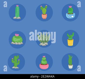 bundle of nine cactus plants set icons Stock Vector
