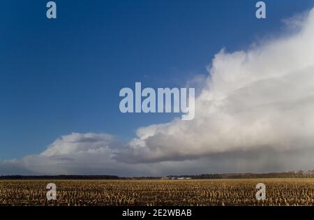 Weather front with rain falling from cumulonimbus clouds above rural landscape with maize stubbles Stock Photo