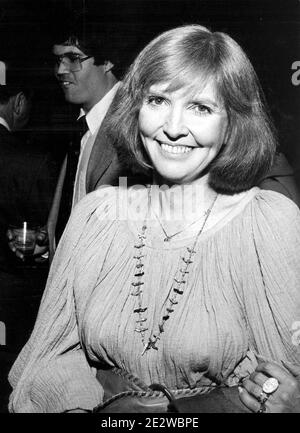 Anne Meara Credit: Ralph Dominguez/MediaPunch Stock Photo - Alamy