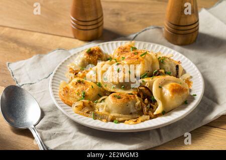Homemade Polish Potato Pierogies  with Onion and Chives Stock Photo
