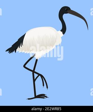 Cartoon vector icon of ibis isolated on blue. Sacred bird of Egypt, with long legs and narrow beak. Tropical African fauna Stock Vector