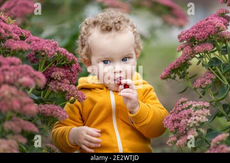 Pretty little toddler kid boy with curly hair and big blue eyes sitting among big flowers and blowing toy whistle Stock Photo