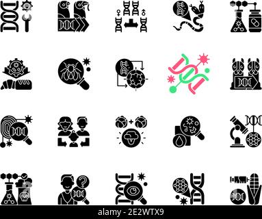 Genetic engineering black glyph icons set on white space Stock Vector