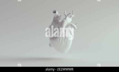 Human Heart Pure White Anatomical Model 3d illustration render Stock Photo