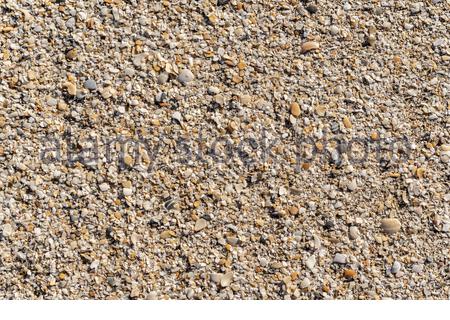 Fine gravel and sea shells on the sand Stock Photo