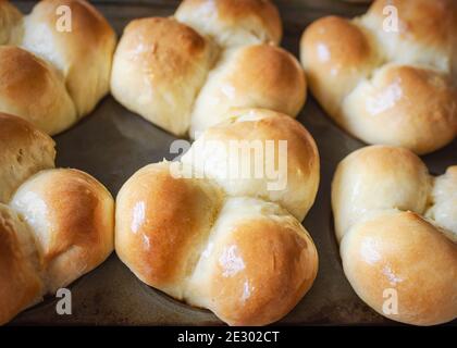 Freshly baked clover dinner rolls glistening with melted butter still in muffin tins. Stock Photo