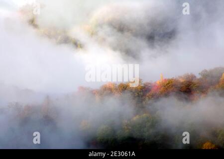NC00183-00...NORTH CAROLINA - Fall color and rising fog viewed from Webb Overlook along the Newfound Gap Road in Great Smoky Mountains National Park. Stock Photo