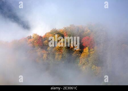 NC00188-00...NORTH CAROLINA - Fall color and rising fog viewed from Webb Overlook along the Newfound Gap Road in Great Smoky Mountains National Park. Stock Photo