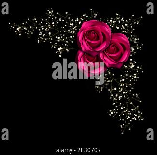 Pink rose flowers corner arrangement isolated on white Stock Photo - Alamy