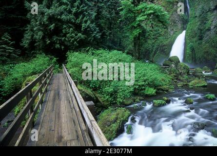 Wahclella Falls with hiker bridge, Mt Hood National Forest, Columbia River Gorge National Scenic Area, Oregon Stock Photo