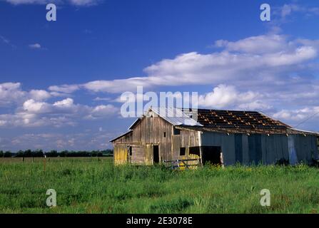 Willamette Valley barn, Benton County Scenic Loop, Benton County, Oregon Stock Photo
