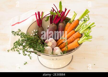 Fresh young organic vegetables, carrots, beets, garlic and greens for salad in colander on white background, selective focus. Healthy vegan food Stock Photo