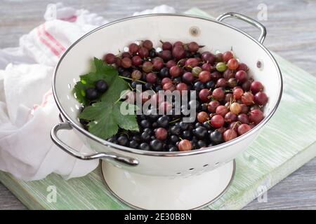 Fresh organic berries black currant and gooseberry in a colander, selective focus Stock Photo