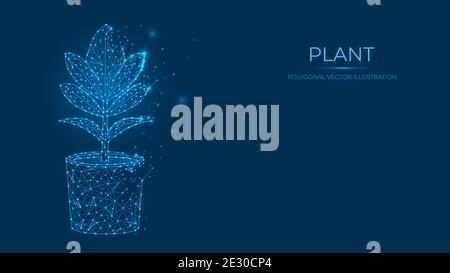 Abstract polygonal vector illustration of a plant. Low poly concept of flower in a pot made of lines and dots isolated on blue background. Stock Vector