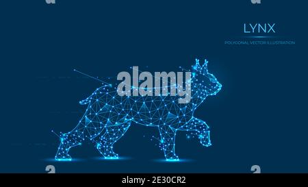 Abstract polygonal lynx made of lines and dots isolated on blue background. Low poly vector illustration of a wild cat Stock Vector