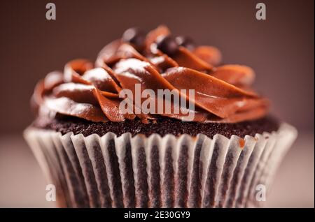 Colored Cupcake on Background. High quality photo. Stock Photo