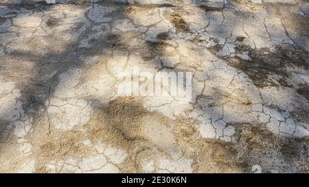 Old concrete wall, natural texture. Light shadows background. Selective focus. Front view. Stock Photo