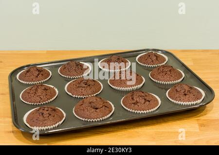Just baked chocolate fairy cakes, cupcakes, UK Stock Photo