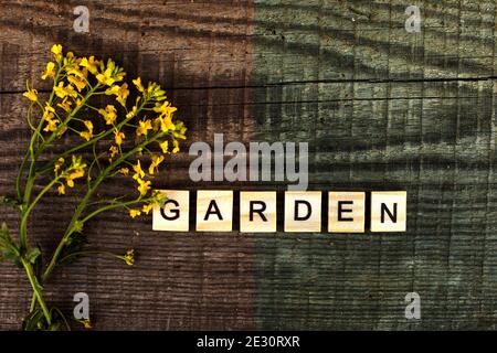 The inscription from wooden letters Garden on a wood background Stock Photo