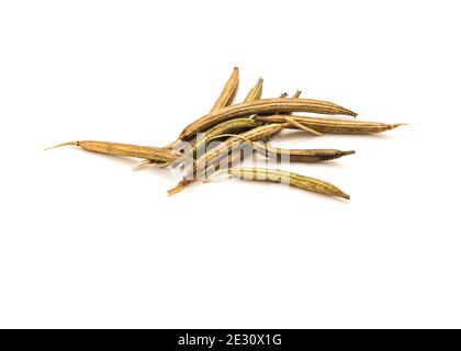 20 Semi Di Juta (Corchorus Olitorius) – Malva Degli Ebrei, Juta Rossa Da Orto