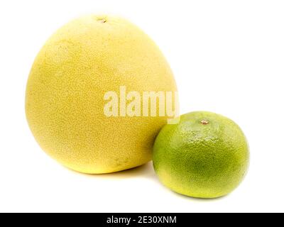 citrus maxima and pomelo isolated on white background Stock Photo