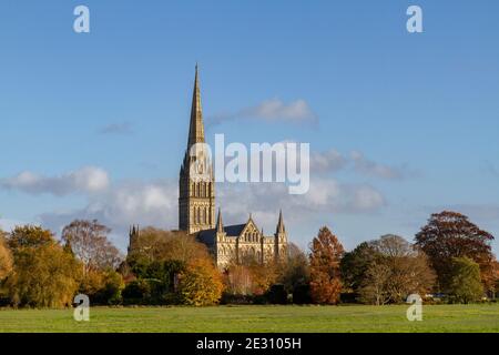 View across the Harnham Water Meadows towards the spire of Salisbury Cathedral, south of Salisbury, Wiltshire, UK. Stock Photo