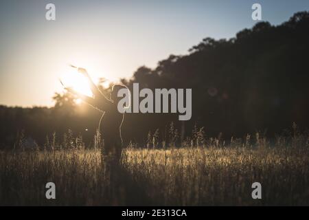 A young woman dances in the tall grass, backlit by the setting sun during golden hour Stock Photo