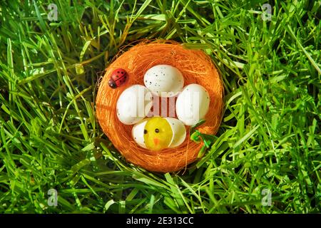 Easter card. a little toy chicken in an orange nest and a ladybug in the dense green grass. Easter, egg hunt. Cute traditional characters for text. Sp Stock Photo