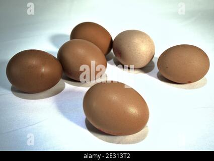 Hen's eggs in close up Stock Photo