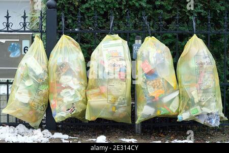 14 January 2021, Brandenburg, Kleinmachnow: A yellow garbage bag hangs from  a tree next to a garden ready for pickup. Photo: Soeren  Stache/dpa-Zentralbild/ZB Stock Photo - Alamy