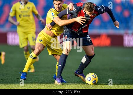 January 16, 2021, Bologna, Italy: Bologna, Italy, Dall&#39;Ara stadium, January 16, 2021, foul of Mattias Svanberg (Bologna FC) during Bologna FC vs Hellas Verona - Italian football Serie A match (Credit Image: © Alessio Marini/LPS via ZUMA Wire) Stock Photo