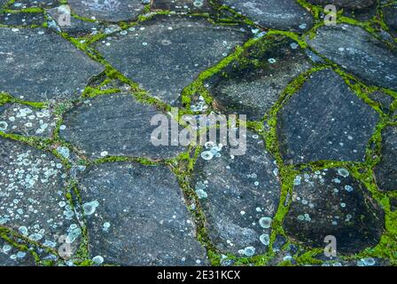 Old garden stone slabs with green moss closeup as stone background Stock Photo