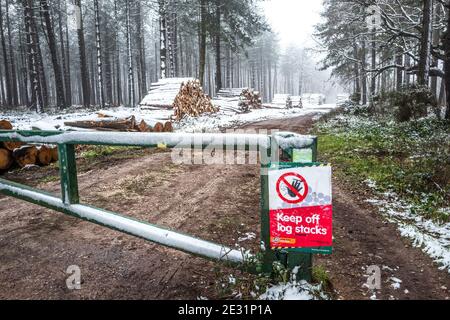 Keep off log stacks sign, UK Stock Photo - Alamy