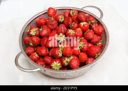 Image of lots of fresh ripened strawberries in metal strainer Stock Photo