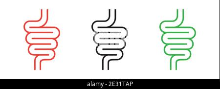 Intestinal tract set icon isolated on white background. Stock Vector