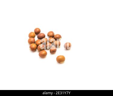Group of winged beans (Psophocarpus tetragonolobus) isolated on white background Stock Photo