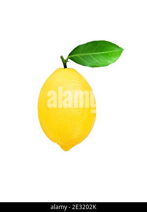 Lemon fruit with leaf isolated on white background . Stock Photo