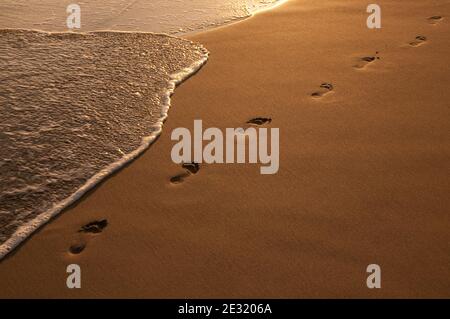 Footsteps in the Golden Sand on the Beach Stock Photo