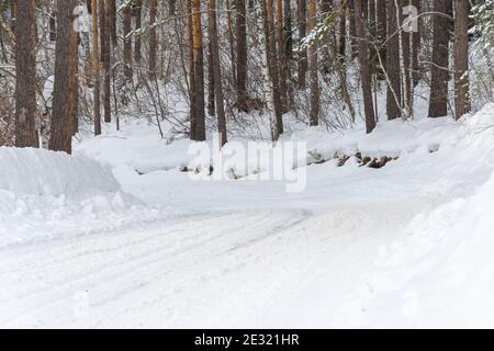 Snow road in winter pine forest. Ice and snowstorm on a country road. Clearing the road from snowdrifts. Stock Photo
