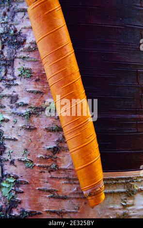 Abedul, Bosque Atlántico, Reserva Integral de Muniellos, Asturias Stock Photo