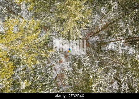 Color contrast - a rainbow colored umbrella in the middle of a green forest covered with white snow Stock Photo