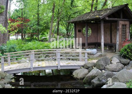 A wood bridge crossing a stream leading to a small pavilion in  Japanese Garden filled with ferns and trees in Rotary Botanic Gardens in Janesville, W Stock Photo