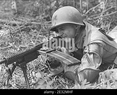 Machine gun M1941 Johnson 3. Stock Photo