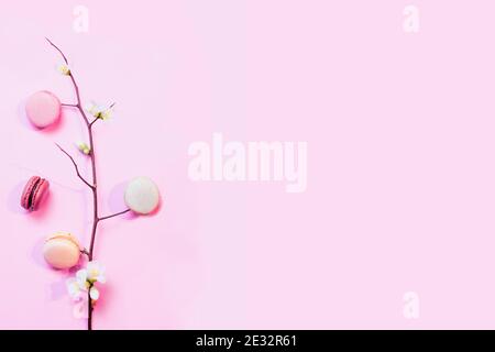 French macarons on pink pastel background with a branch of a spring apple blossom Stock Photo