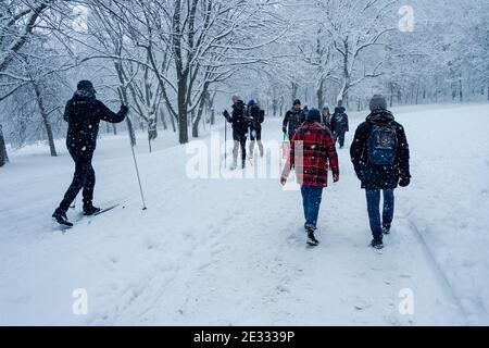 Montreal, CA - 01 January 2021: People walking and skiing on a snowy trail in Montreal's Mount Royal Park (Parc Du Mont-Royal) during snowstorm. Stock Photo