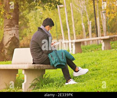 Asian person sitting in a bench in a park during Corona Virus, while checking the cellphone Stock Photo