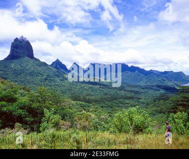 Mountain interior, Moorea, Tahiti, French Polynesia Stock Photo