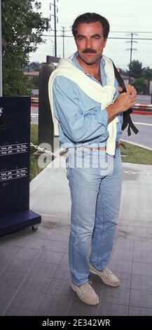 Tom Selleck 1990 Credit: Ralph Dominguez/MediaPunch Stock Photo - Alamy